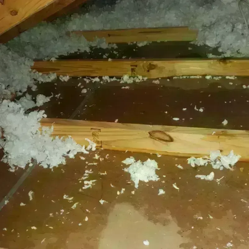 Attic Water Damage in Palatka, FL